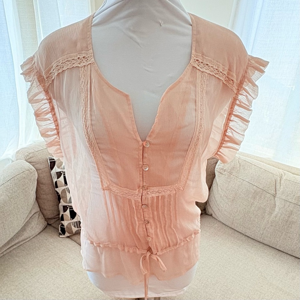Gorgeous Sheer Daniel Rainn Blush Button-Down Blouse in excellent condition - Picture 1 of 5